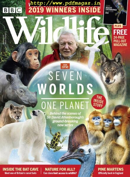 BBC Wildlife – November 2019 Cover