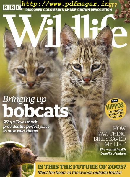 BBC Wildlife – October 2019 Cover