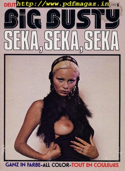 Big Busty – Number 3, 1980 Cover