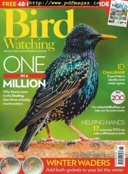 Bird Watching UK – November 2019