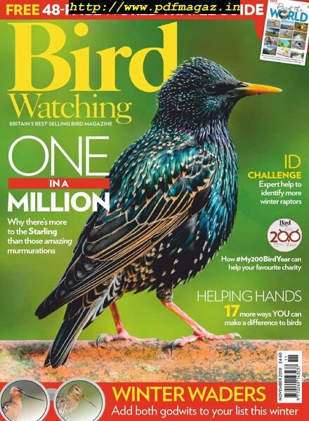 Bird Watching UK – November 2019 Cover