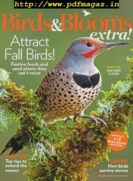 Birds and Blooms Extra – November 2019 Cover