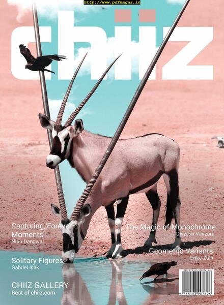 Chiiz – October 2019 Cover