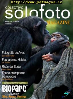 Colectivo Solofoto – Julio-Septiembre 2019