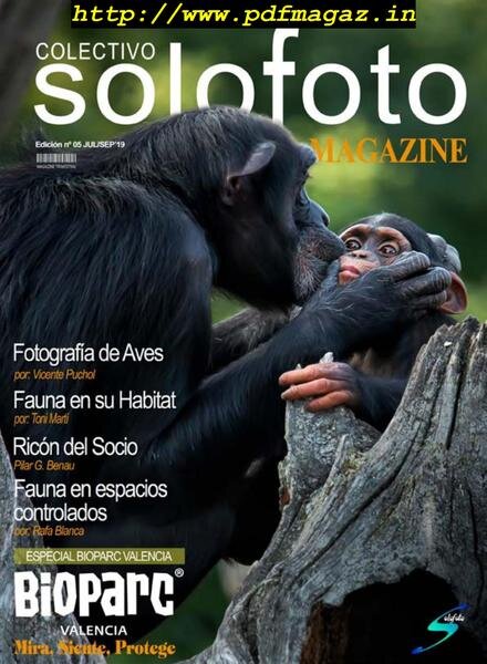 Colectivo Solofoto – Julio-Septiembre 2019 Cover