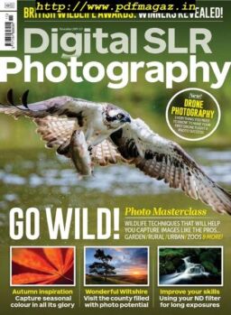Digital SLR Photography – November 2019