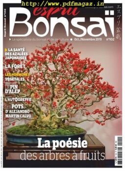 Esprit Bonsai – octobre 2019