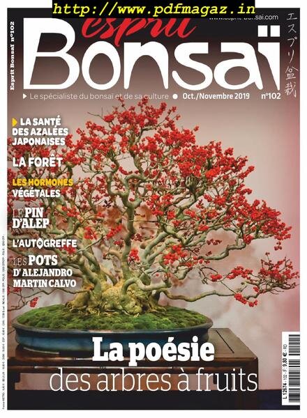 Esprit Bonsai – octobre 2019 Cover