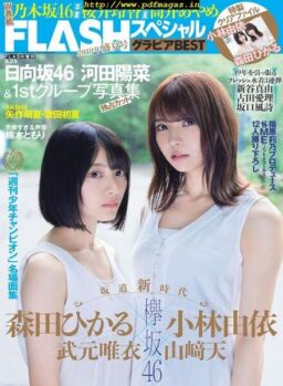 Flash (N Special) – Gravure Best 2019 (9.25)