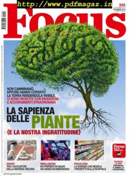 Focus Italia – novembre 2019