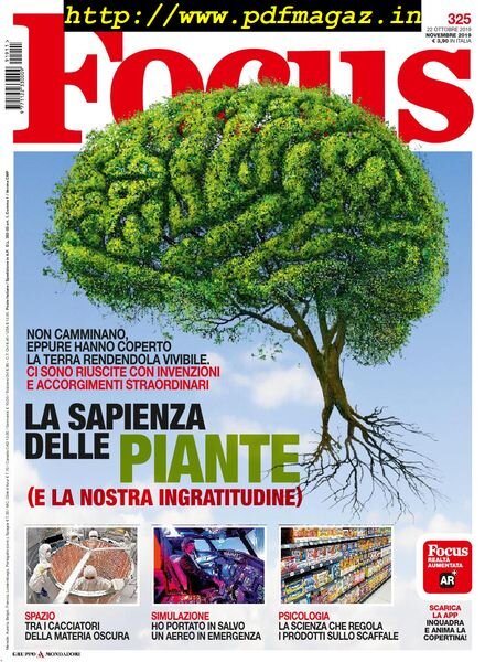 Focus Italia – novembre 2019 Cover