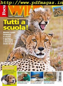 Focus Wild – ottobre 2019