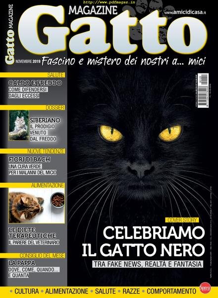 Gatto Magazine – novembre 2019 Cover