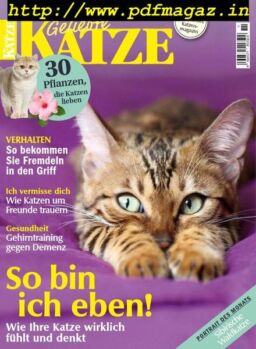 Geliebte Katze – Oktober 2019