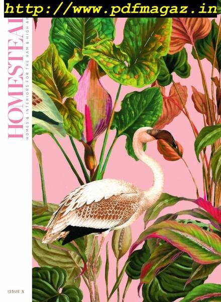 Homestead – October 2019 Cover