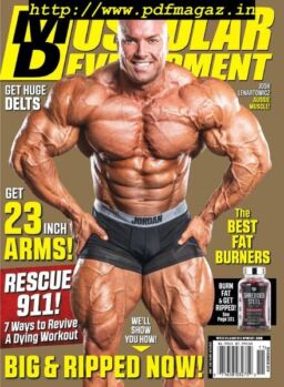 Muscular Development – November 2019