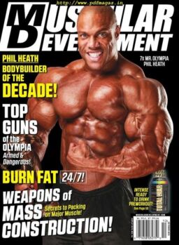Muscular Development – October 2019