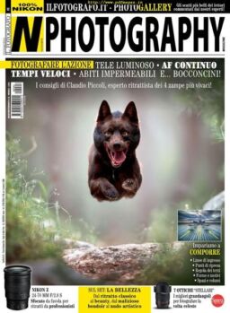 N Photography – novembre 2019