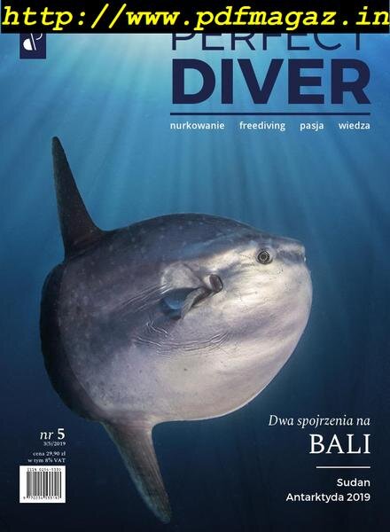 Perfect Diver – Nr.5, 2019 Cover