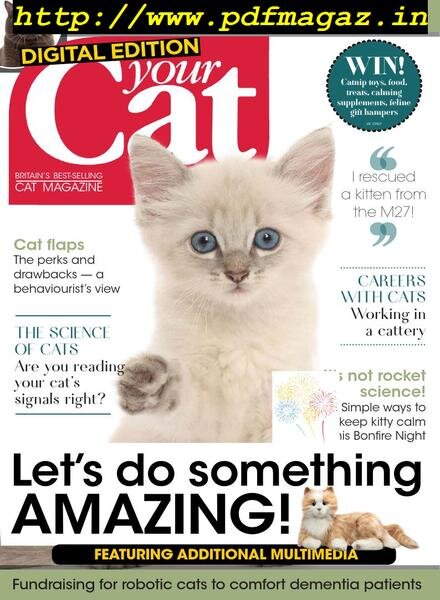 Your Cat Magazine – October 2019 Cover