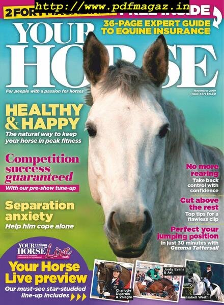 Your Horse – November 2019 Cover