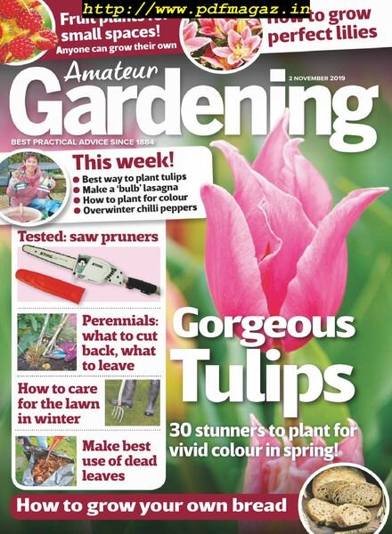 Amateur Gardening – 02 November 2019 Cover