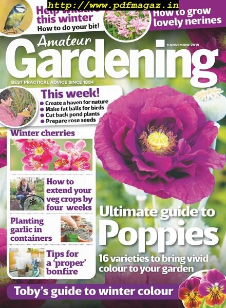 Amateur Gardening – 09 November 2019 Cover
