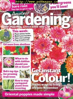 Amateur Gardening – 16 November 2019