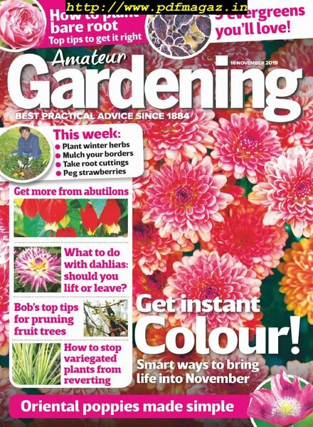 Amateur Gardening – 16 November 2019 Cover