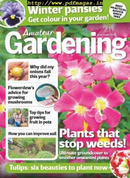 Amateur Gardening – 26 October 2019