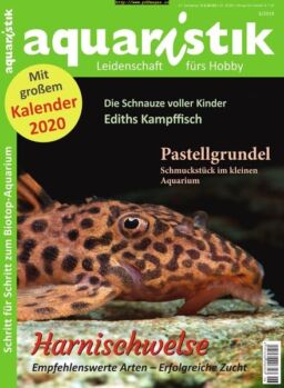 Aquaristik – November 2019