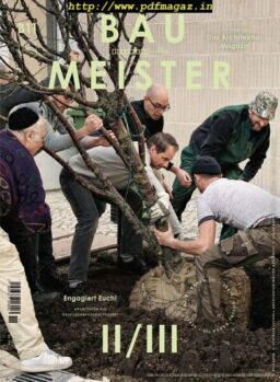 Baumeister – November 2019