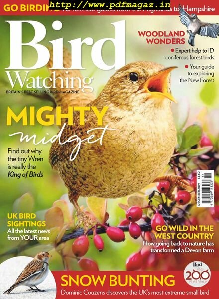 Bird Watching UK – December 2019 Cover
