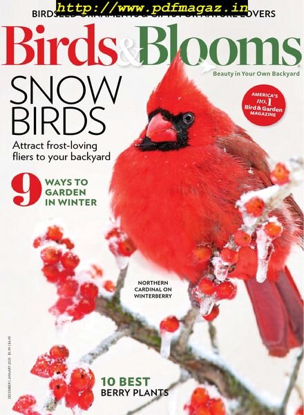 Birds & Blooms – December-January 2019 Cover