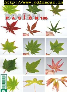 Bonsai Pasion – octubre 2019