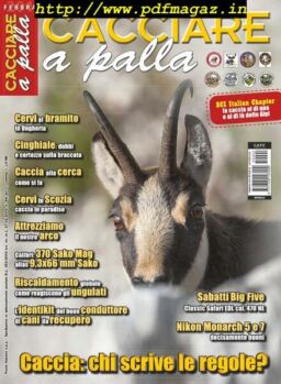 Cacciare a Palla – Febbraio 2015