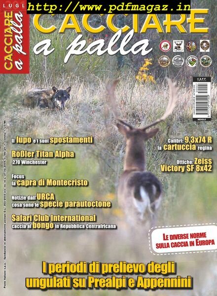 Cacciare a Palla – Luglio 2015 Cover