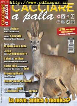 Cacciare a Palla – Marzo 2015