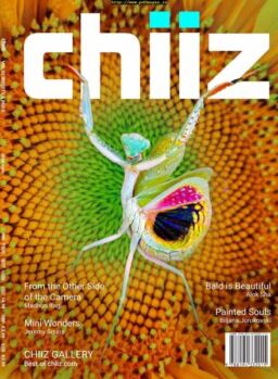 Chiiz – November 2019