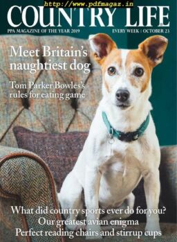 Country Life UK – November 2019