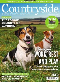 Countryside – November 2019