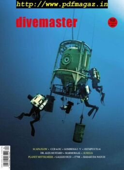 Divemaster – Oktober-Dezember 2019