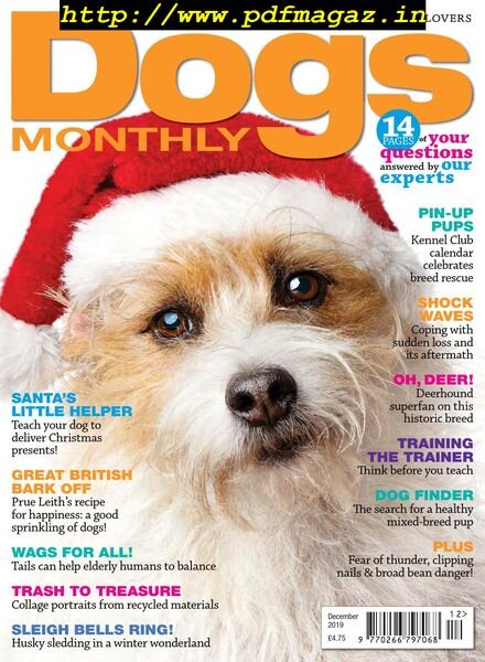 Dogs Monthly – December 2019 Cover