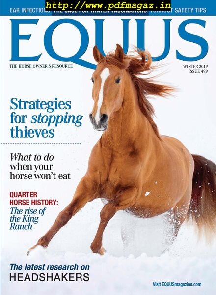 Equus – October 2019 Cover