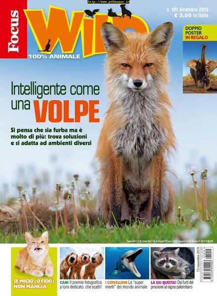 Focus Wild – gennaio 2020 Cover