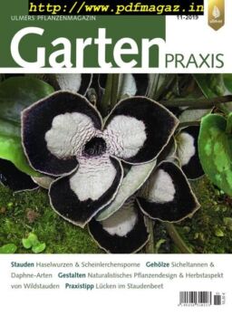 Gartenpraxis – Nr.11, 2019
