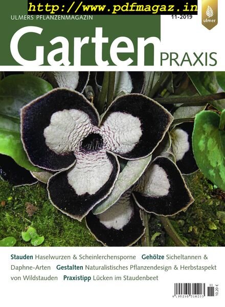 Gartenpraxis – Nr.11, 2019 Cover