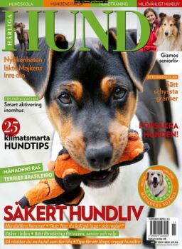 Harliga Hund – 23 oktober 2019