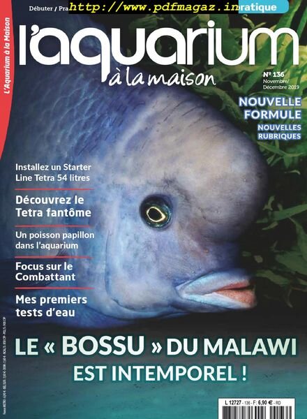 l’Aquarium a la Maison – novembre-decembre 2019 Cover
