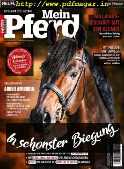 Mein Pferd – November 2019